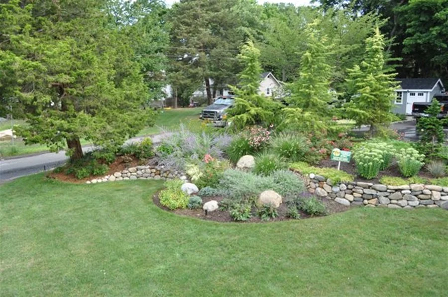 landscaped garden with trees and plants