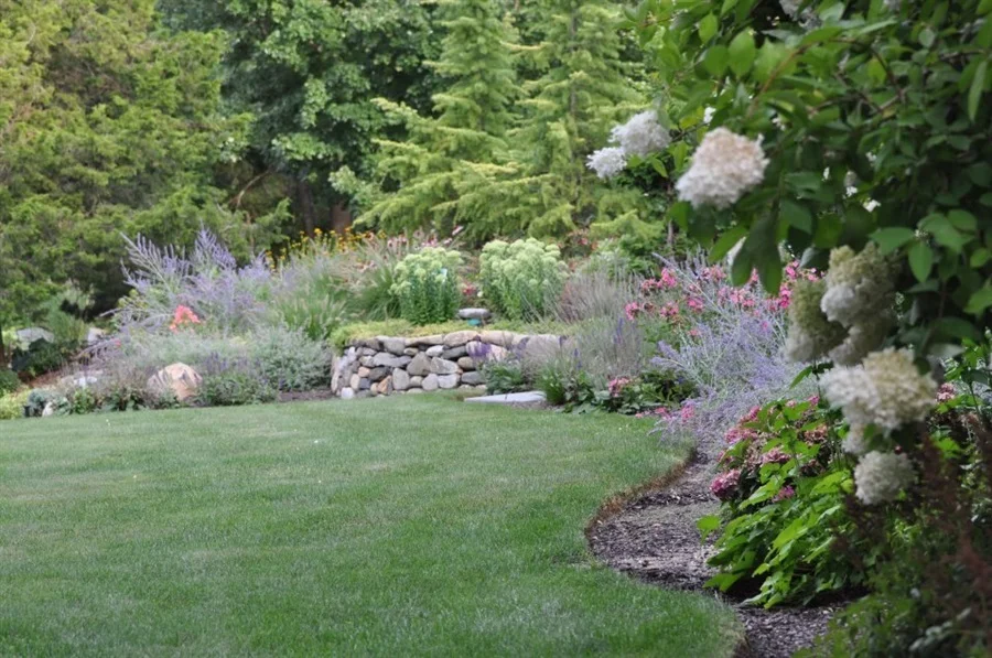 Garden with tall grasses, bushes, and stones