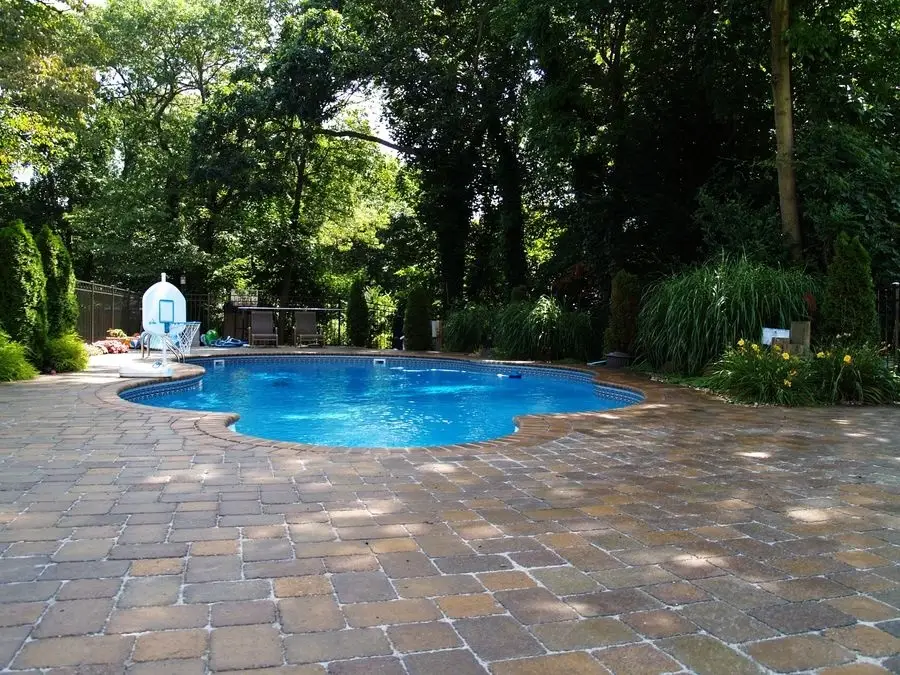landscaped garden with trees and plants surrounding an inground pool
