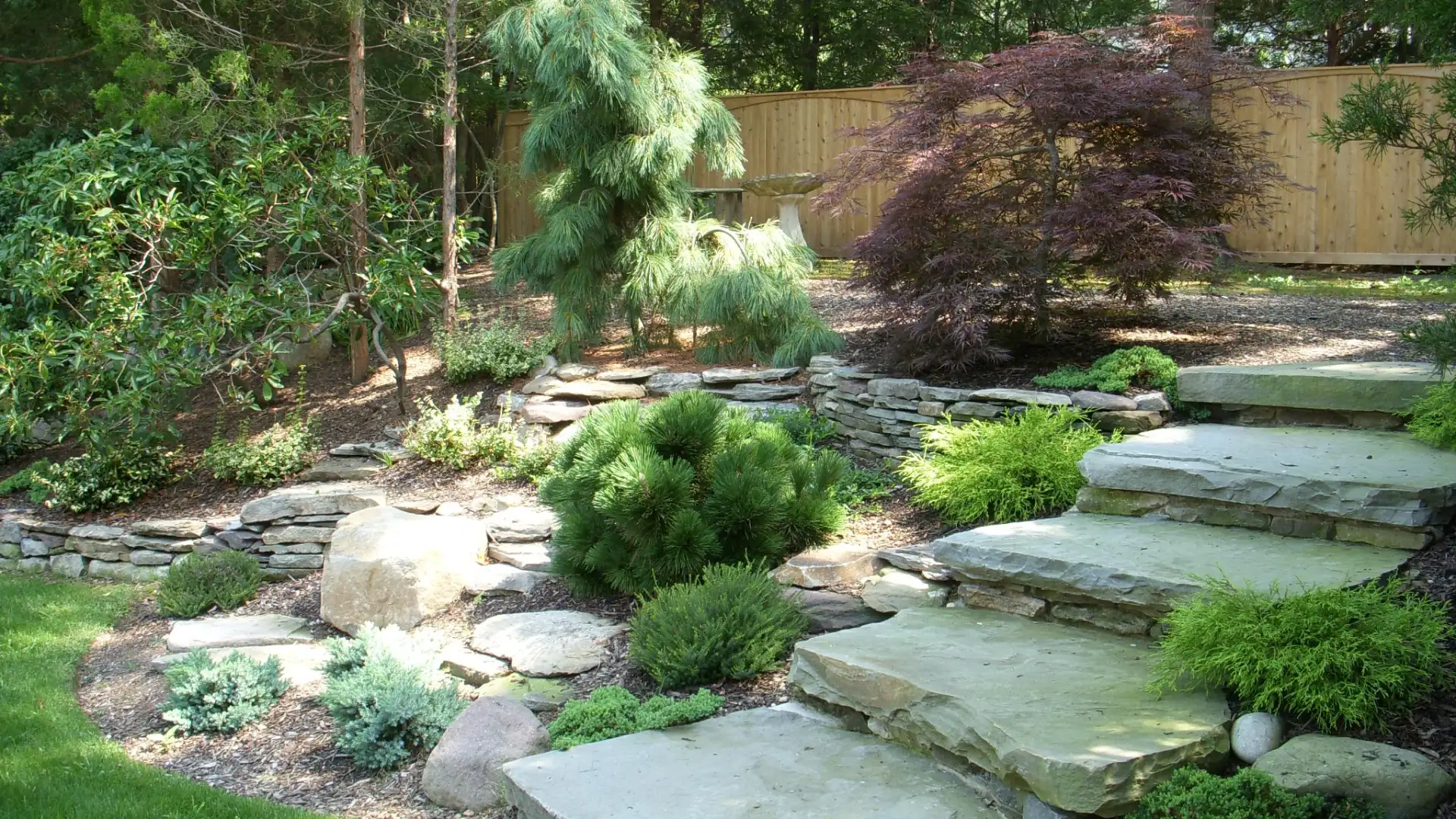 landscaped garden with trees and plants and stone steps