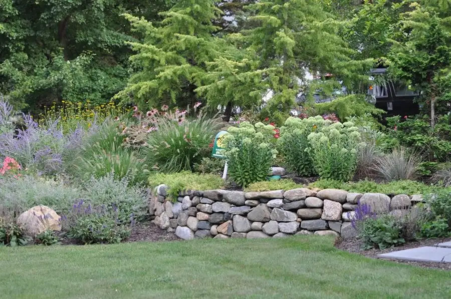 landscaped garden with trees and plants